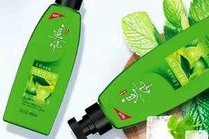 什么洗发膏最好,什么洗发膏好用不掉头发