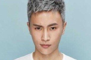 奶奶灰适合什么发型（奶奶灰适合什么发型男）