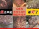 头皮上长痘痘，用什么药，而且头发很油又掉发,头顶掉发怎么治疗好