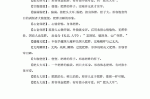 胖胖的什么（胖胖的什么填空词语）