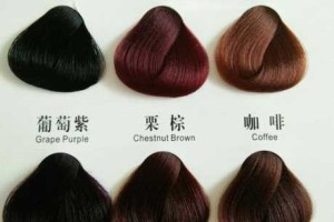黑色和棕红色是什么颜色,棕红色是什么颜色的图片