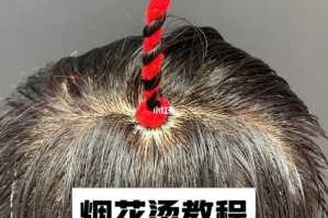 烟花秀怎么剪,烟花烫怎么烫视频教程