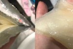 啫喱是什么（啫喱是什么意思）