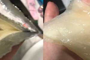啫喱是什么（啫喱是什么意思）