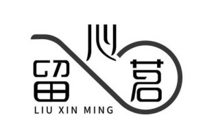 留心什么什么四字成语,留心什么意思