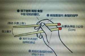 怎么用筷子（怎样快速学会使用筷子）