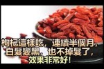 吃枸杞能治白发吗,吃什么可以治白发变黑发快点