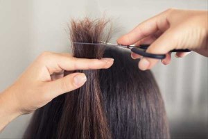 头发开叉怎么办小妙招（头发开叉怎么办小妙招视频）