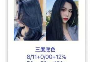 蓝黑怎么染（5度底色做蓝黑色配方）