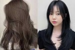 焗什么发色（焗发什么颜色更好看）