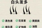 长白头发缺少什么营养（儿童长白头发缺少什么营养）