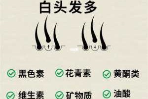 长白头发缺少什么营养（儿童长白头发缺少什么营养）