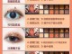 眼影使用教程,画眼影怎么化妆
