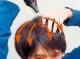 男生头发不吹怎么变蓬松,男生头发不蓬松怎么办改善