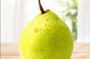 鸭梨是什么颜色的（大鸭梨是什么颜色）