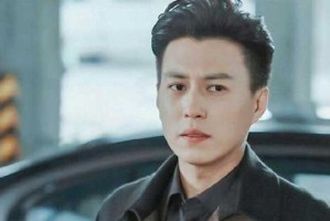 靳东的发型叫什么名字,靳东发型适合什么人看