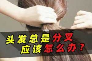 头发老是分叉怎么办（头发爱分叉怎么解决）