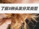 头发怎么分叉（头发分叉解决方法）