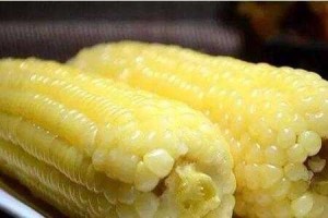 男人说玉米是什么意思（你是玉米是什么意思）