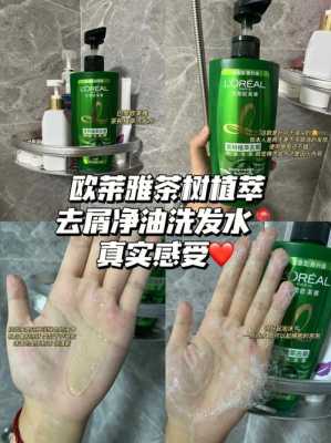 头发油用什么洗发水（头发油用什么洗发水比较好）
