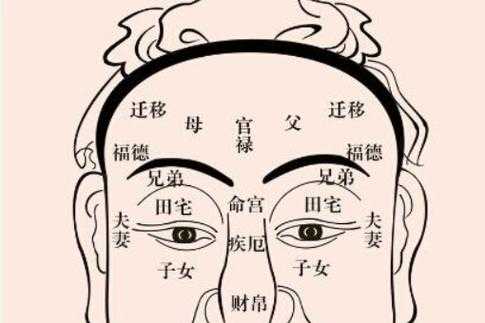 什么的额头（什么的额头）