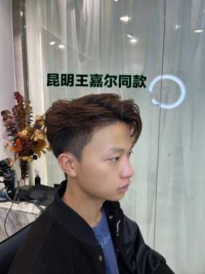 鹅蛋脸适合什么发型男（鹅蛋脸的男生，头发比较硬，应该剪什么样的发型）