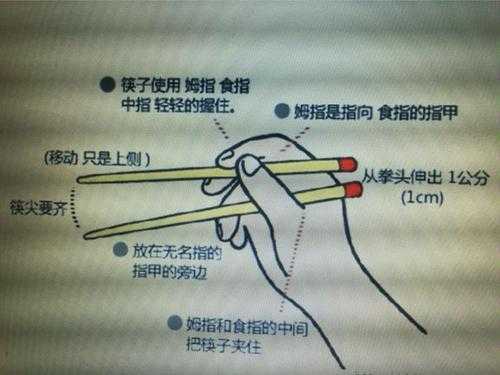 怎么用筷子（怎样快速学会使用筷子）