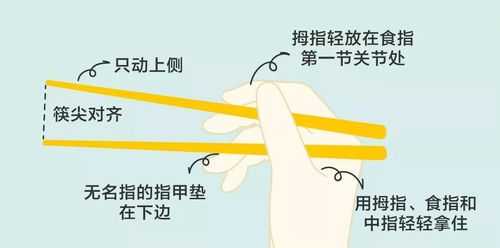 怎么用筷子（怎样快速学会使用筷子）