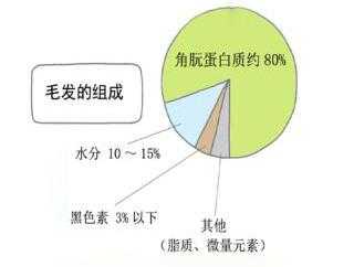 头发是什么（头发是什么物质组成的）