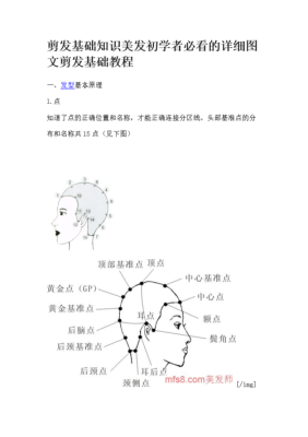 怎么学剪发（剪发流程）