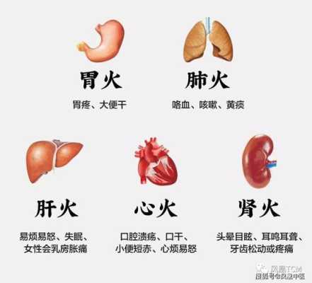 什么是肺热（什么是肺热咳嗽）