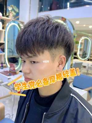 硬发质适合摩根碎盖吗,粗硬发质适合什么发型女
