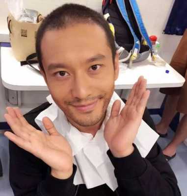 明星为什么不脱发（明星为什么不脱发的原因）