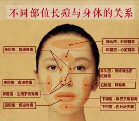 左脸起痘痘是什么原因（左脸起痘痘是什么原因怎么调理）