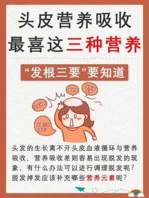 生长头发需要什么营养（生长头发需要什么营养物质）