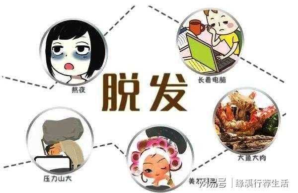 易掉头发是什么原因（易掉头发是什么原因）
