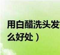 用白醋洗头发有什么好处（用白醋洗头发好吗）