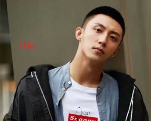板寸和毛寸有什么区别（毛寸和板寸有什么区别）