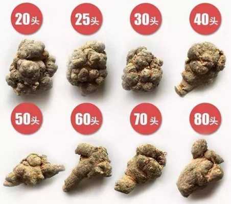 三七怎么分（三七怎么分有几个头）