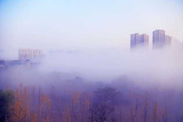 雾是什么颜色的（雾色是什么颜色）