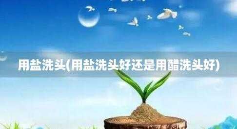 洗头加醋加盐有什么用,放盐洗头起到什么作用和功效