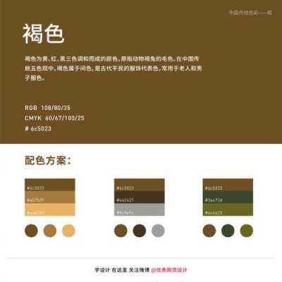 棕色是什么色（棕色是什么色号）