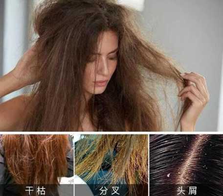 头发干用什么（头发很干，总是会缠在一起，不知道怎么办了）