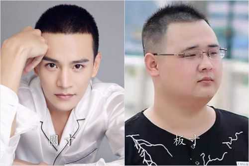 板寸头,圆寸头,毛寸头区别、特点是什么,头型都有什么头型
