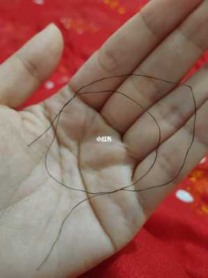 为什么我的头发很硬像塑料一样的硬,脚趾头发硬怎么回事