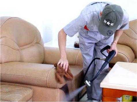 沙发怎么护理（沙发怎么护理才能柔顺不炸毛）