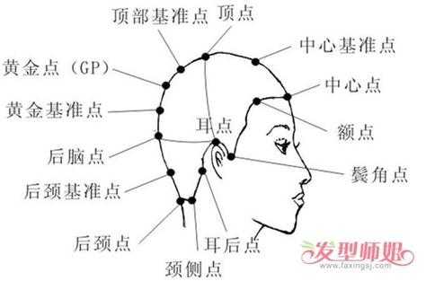 头发分区分片最快技巧,头发怎么分区图解