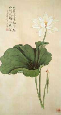 色是什么头（工笔画中的头绿色怎么配）