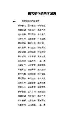 什么发什么强（什么发什么强四字词语）