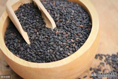 什么能让头发变黑（有白头发吃什么能让头发变黑）